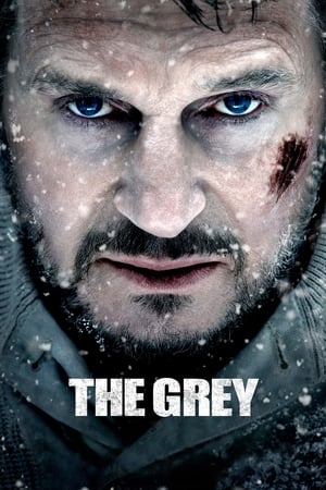 The Grey 2011 Hindi Dual Audio 360MB The Grey 2011 Hindi Dual Audio 360MB