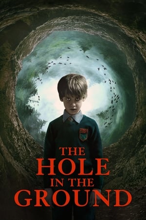 The Hole in the Ground 2019 Hindi Dual Audio 300MB The Hole in the Ground 2019 Hindi Dual Audio 300MB