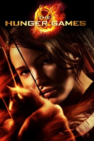 The Hunger Games 2012 Hindi Dual Audio 470MB The Hunger Games 2012 Hindi Dual Audio 470MB