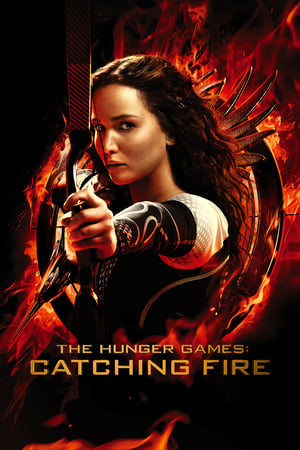 The Hunger Games Catching Fire 2013 Hindi Dual Audio 480MB The Hunger Games Catching Fire 2013 Hindi Dual Audio 480MB