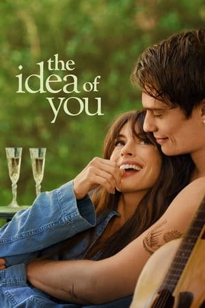 The Idea of You 2024 Hindi Dual Audio – 720p – The Idea of You 2024 Hindi Dual Audio – 720p –