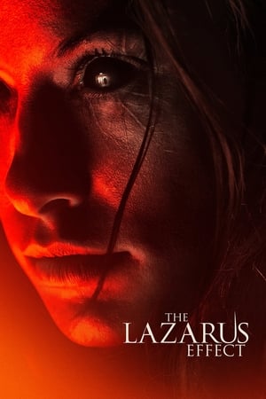 The Lazarus Effect (2015) Hindi Dual Audio 300MB The Lazarus Effect (2015) Hindi Dual Audio 300MB