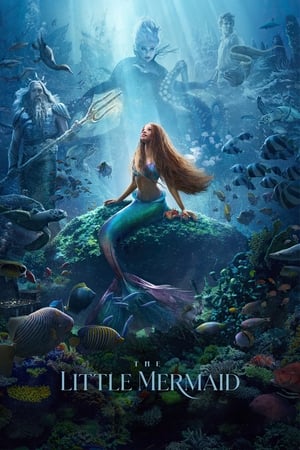 The Little Mermaid (2023) Hindi (ORG 5.1) The Little Mermaid (2023) Hindi (ORG 5.1)