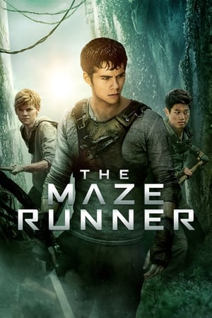 The Maze Runner (2014) Hindi Dual Audio 400MB The Maze Runner (2014) Hindi Dual Audio 400MB