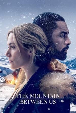 The Mountain Between Us 2017 Dual Audio Hindi 350MB The Mountain Between Us 2017 Dual Audio Hindi 350MB
