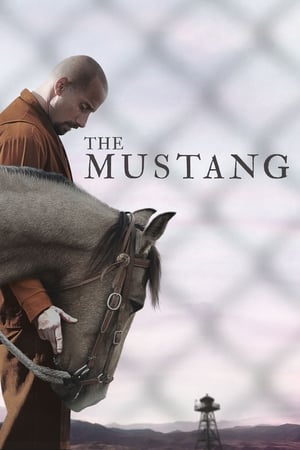 The Mustang (2019) Hindi Dual Audio 300MB The Mustang (2019) Hindi Dual Audio 300MB
