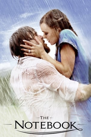The Notebook 2004 Dual Audio Hindi Full Movie - 1GB The Notebook 2004 Dual Audio Hindi Full Movie - 1GB
