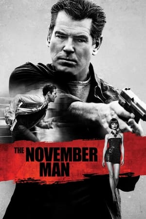 The November Man 2014 100mb Hindi Dual Audio movie Download The November Man 2014 100mb Hindi Dual Audio movie Download