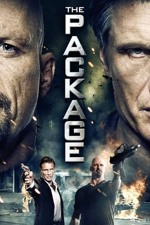The Package (2013) Hindi Dual Audio 350MB The Package (2013) Hindi Dual Audio 350MB