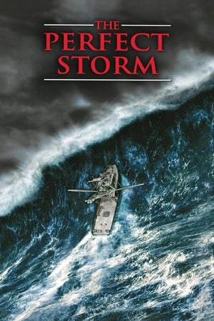 The Perfect Storm (2000) Hindi Dual Audio 450MB The Perfect Storm (2000) Hindi Dual Audio 450MB