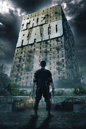 The Raid: Redemption (2011) Hindi Dual Audio 300MB ESubs The Raid: Redemption (2011) Hindi Dual Audio 300MB ESubs