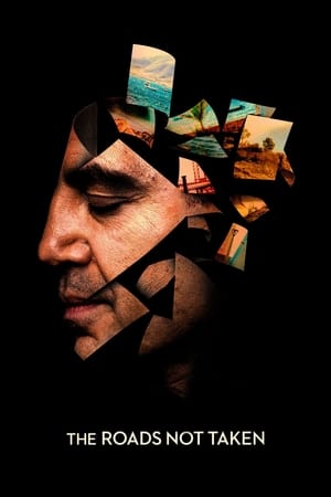 The Roads Not Taken (2020) Hindi Dual Audio – The Roads Not Taken (2020) Hindi Dual Audio –