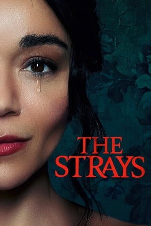 The Strays 2023 Hindi Dual Audio – The Strays 2023 Hindi Dual Audio –