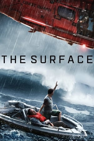 The Surface (2014) Hindi Dual Audio 300MB The Surface (2014) Hindi Dual Audio 300MB