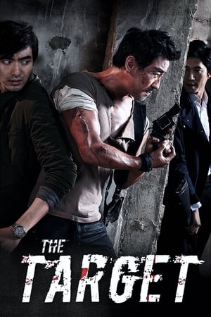 The Target (2014) Hindi Dual Audio 300MB The Target (2014) Hindi Dual Audio 300MB
