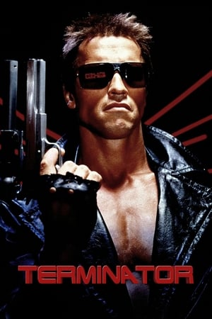 The Terminator (1984) Hindi Dual Audio 380MB The Terminator (1984) Hindi Dual Audio 380MB