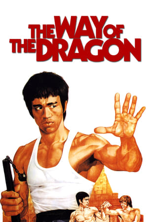 The Way of the Dragon (1972) Hindi Dual Audio 300MB The Way of the Dragon (1972) Hindi Dual Audio 300MB