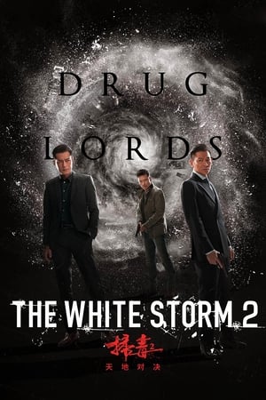 The White Storm 2: Drug Lords (2019) Hindi (Org) 300MB The White Storm 2: Drug Lords (2019) Hindi (Org) 300MB