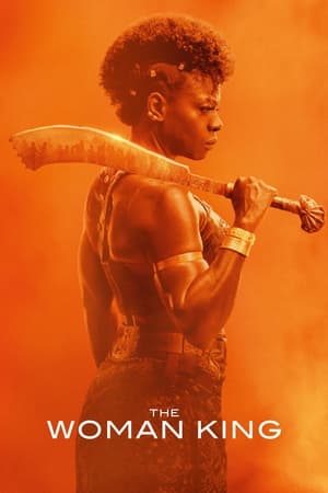 The Woman King 2022 Hindi (Cleaned) Dual Audio – The Woman King 2022 Hindi (Cleaned) Dual Audio –