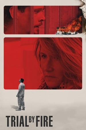 Trial by Fire 2018 Hindi Dual Audio 400MB Trial by Fire 2018 Hindi Dual Audio 400MB