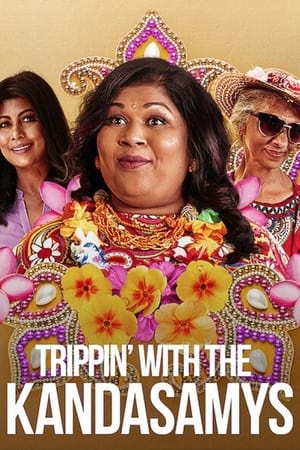 Trippin with the Kandasamys 2021 Hindi Dual Audio 300MB Trippin with the Kandasamys 2021 Hindi Dual Audio 300MB