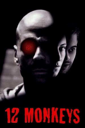 Twelve Monkeys (1995) Hindi Dual Audio Movie - 880MB Twelve Monkeys (1995) Hindi Dual Audio Movie - 880MB