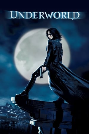 Underworld (2003) 100mb Hindi Dual Audio movie Download Underworld (2003) 100mb Hindi Dual Audio movie Download