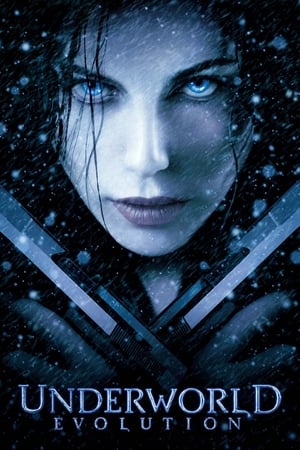 Underworld Evolution (2006) 100mb Hindi Dual Audio movie Download Underworld Evolution (2006) 100mb Hindi Dual Audio movie Download