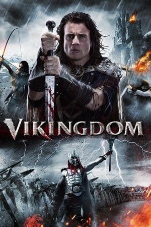 Vikingdom 2013 Hindi Dual Audio 380MB Vikingdom 2013 Hindi Dual Audio 380MB