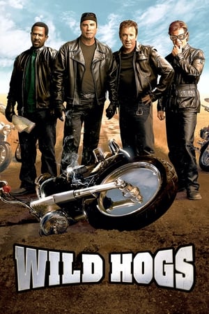 Wild Hogs (2007) Hindi Dual Audio 340MB Wild Hogs (2007) Hindi Dual Audio 340MB