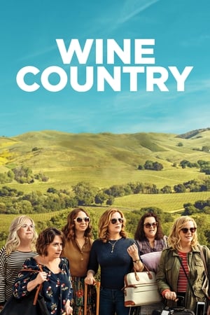 Wine Country (2019) Hindi Dual Audio 350MB Wine Country (2019) Hindi Dual Audio 350MB