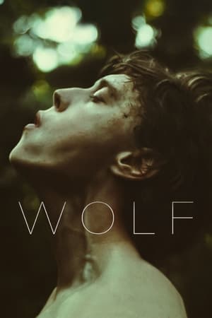 Wolf (2021) Hindi Dual Audio – Wolf (2021) Hindi Dual Audio –