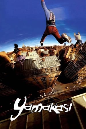 Yamakasi 2001 Hindi Dual Audio 300MB Yamakasi 2001 Hindi Dual Audio 300MB