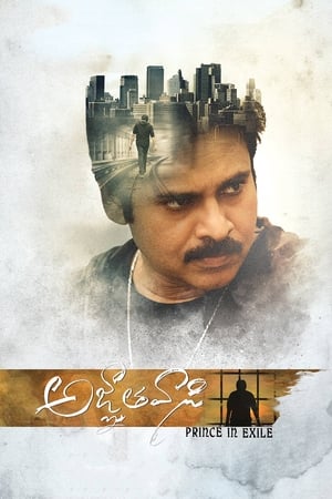 Yevadu 3 (Agnyaathavaasi) 2018 Dual Audio Hindi 450MB Yevadu 3 (Agnyaathavaasi) 2018 Dual Audio Hindi 450MB