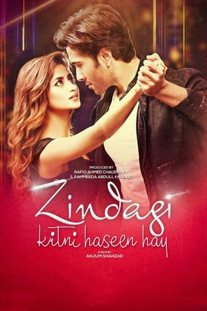 Zindagi Kitni Haseen Hay (2016) Pakistani Movie Download Zindagi Kitni Haseen Hay (2016) Pakistani Movie Download